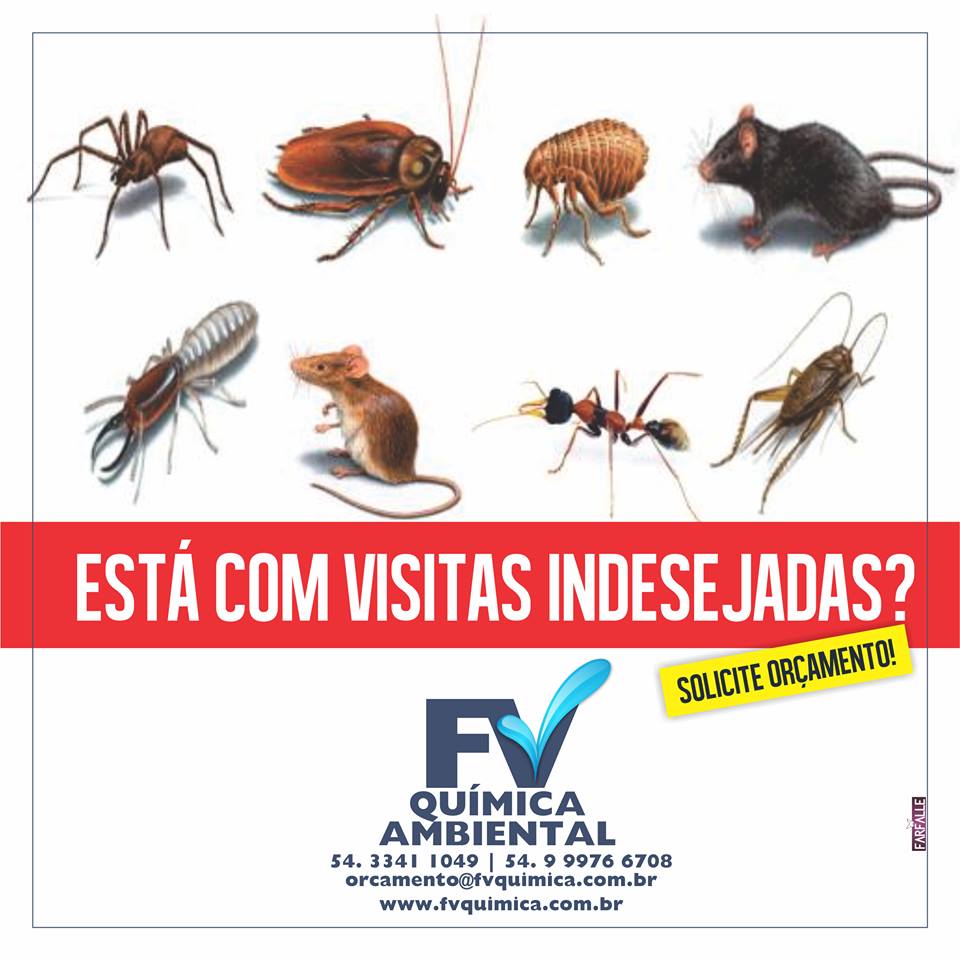 pragas