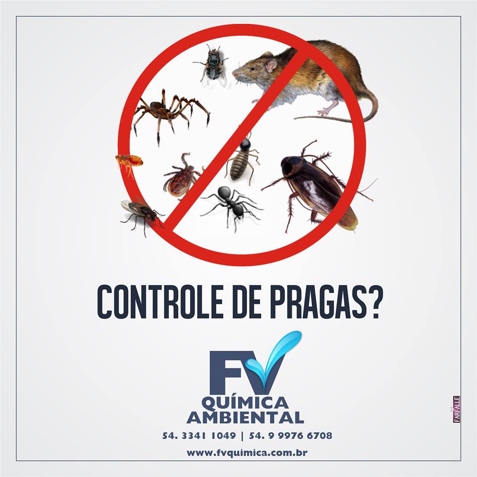 pragas2